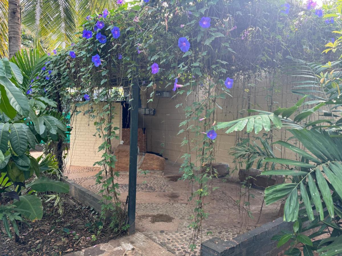 Chikoo Farm Inn Bangalore Exterior foto